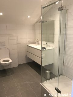  Kapmeeuw